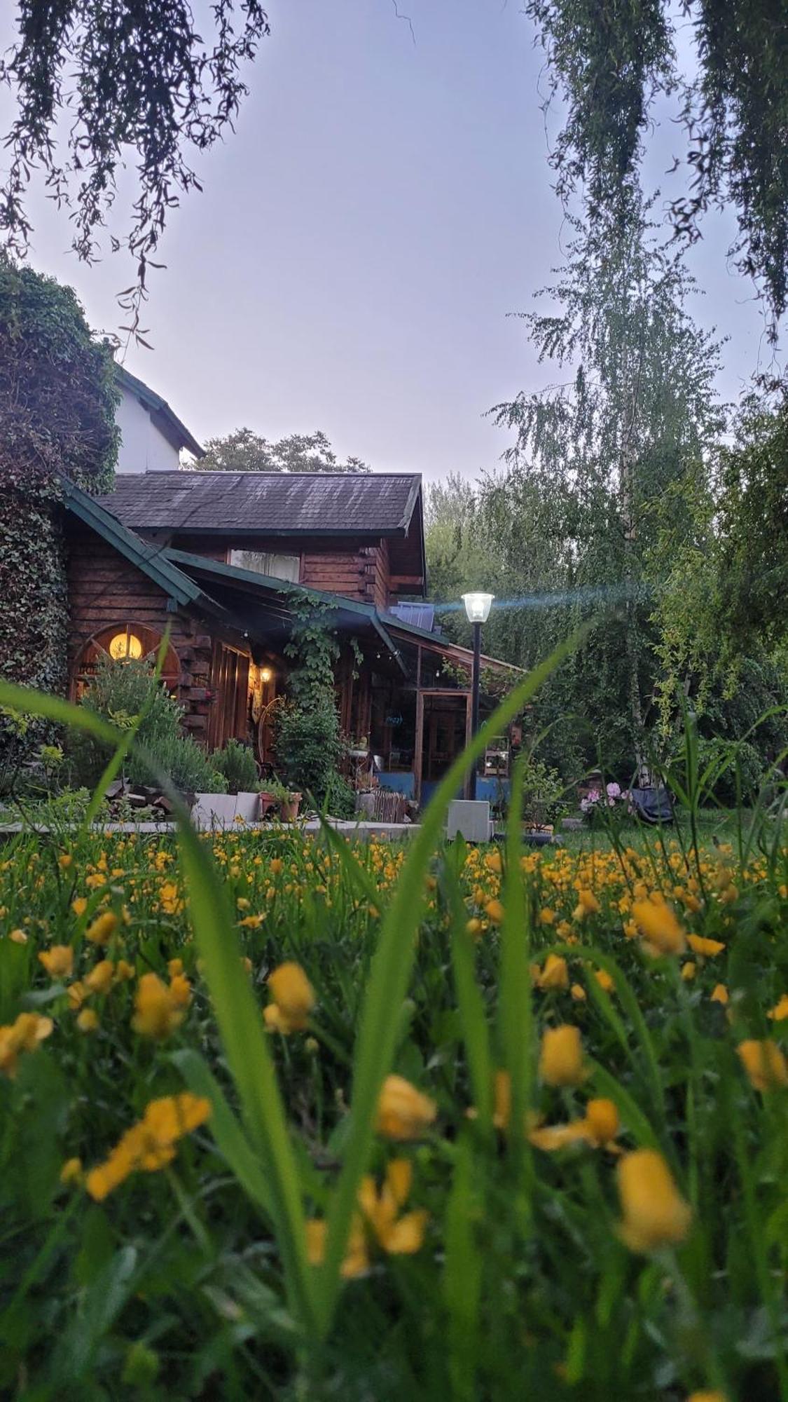 אל בולסון Hostel Meridiano 71 מראה חיצוני תמונה